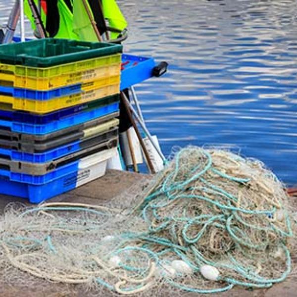 reusable fish trays in harbour